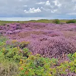 Hotel Den Burg 3* デン・ブルグ