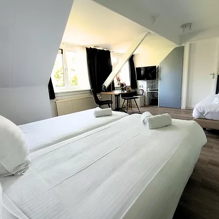 Hotel Den Burg Hotel 3*