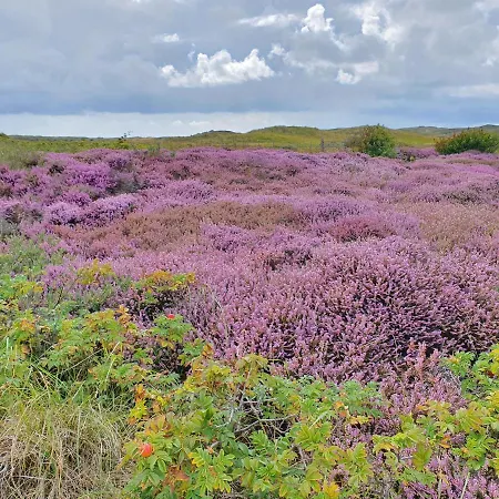 Hotel Den Burg 3* Den Burg