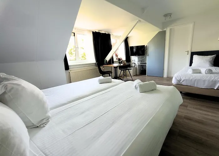 Hotel Den Burg Hotel 3*