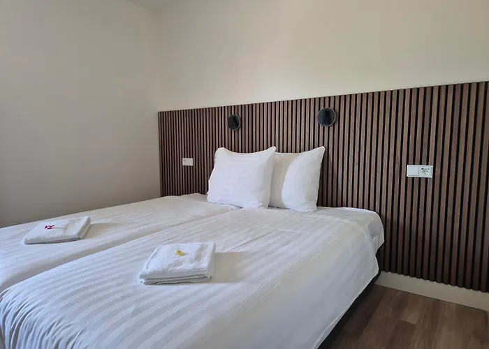 Hotel Hotel Den Burg 3*