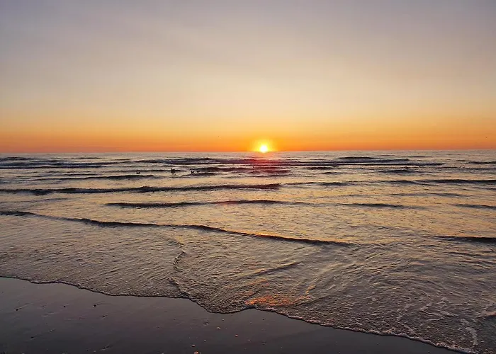 Hotel Hotel Den Burg