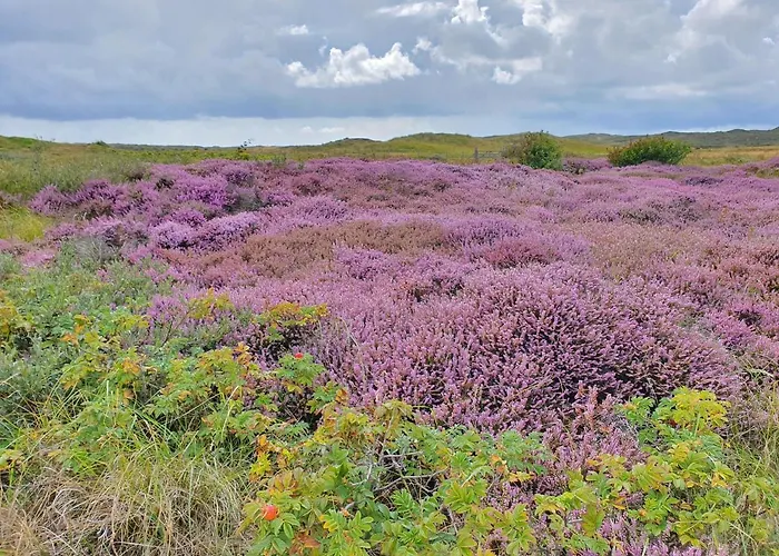 Hotel Den Burg 3* Den Burg